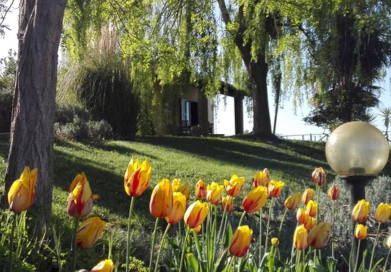 Villa Agriturismo Quartopodere Magliano in Toscana Exterior foto