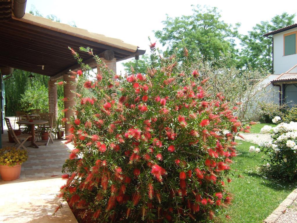 Villa Agriturismo Quartopodere Magliano in Toscana Exterior foto